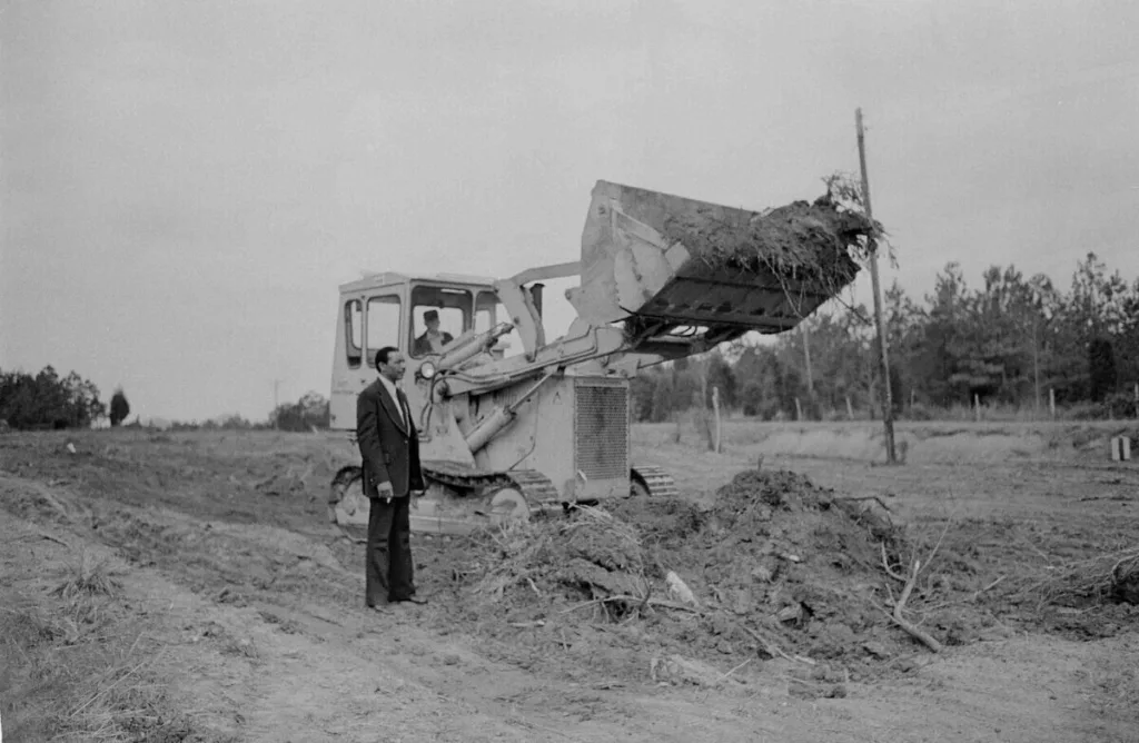 LOCAL HISTORY - Cardinal & Pine
