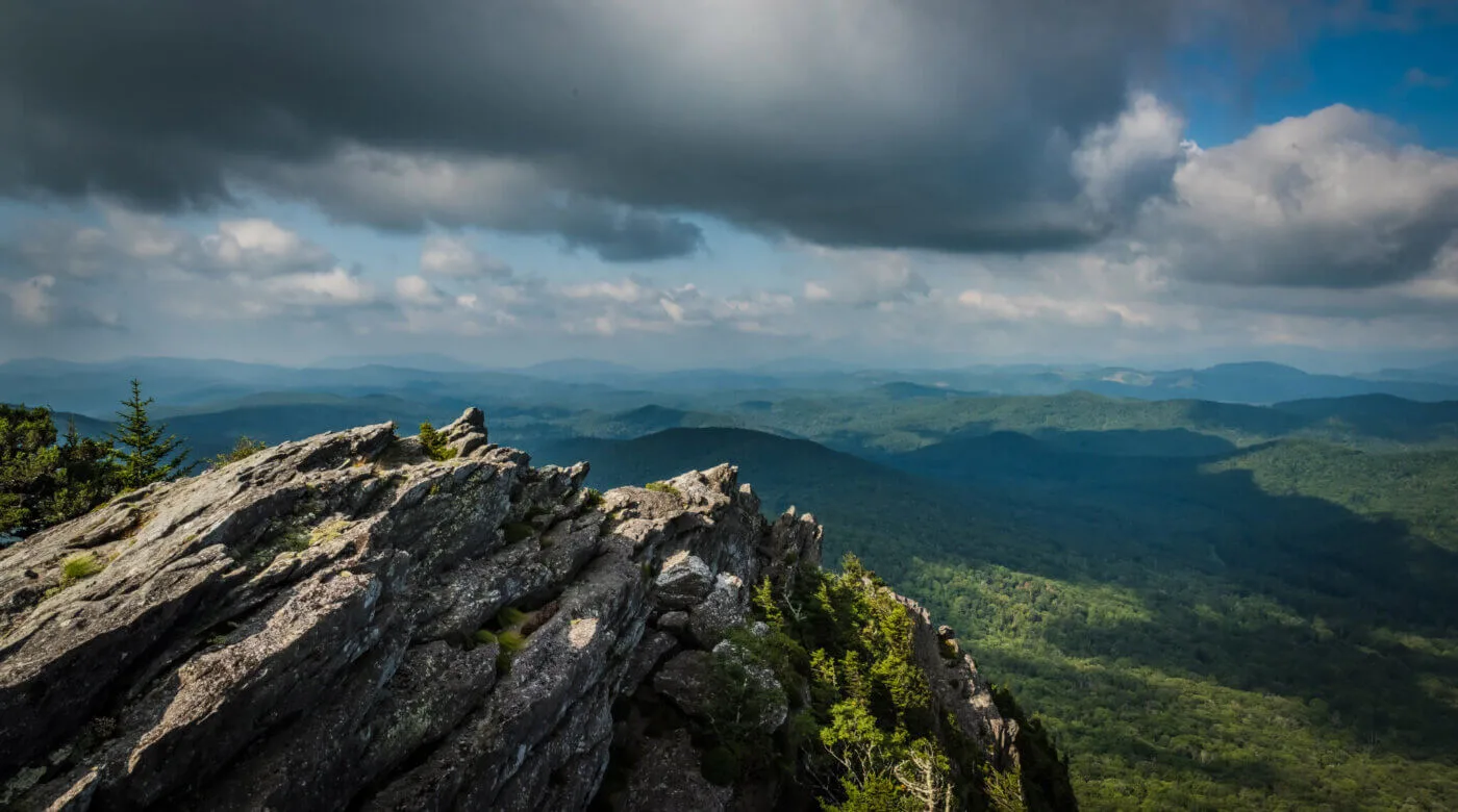 5 Facts About NC Nature We Promise Aren’t Made Up 5 Facts About NC Nature We Promise Aren’t Made Up