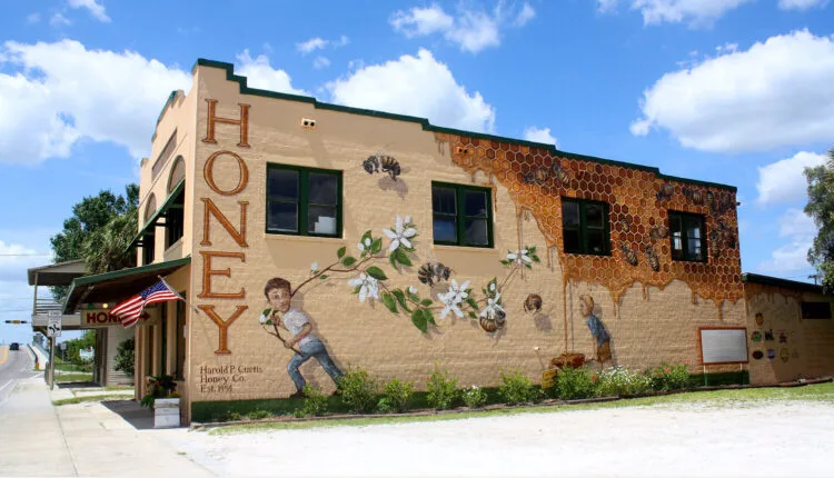 One man’s mission to paint 50,000 honeybees in NC and beyond One man’s mission to paint 50,000 honeybees in NC and beyond