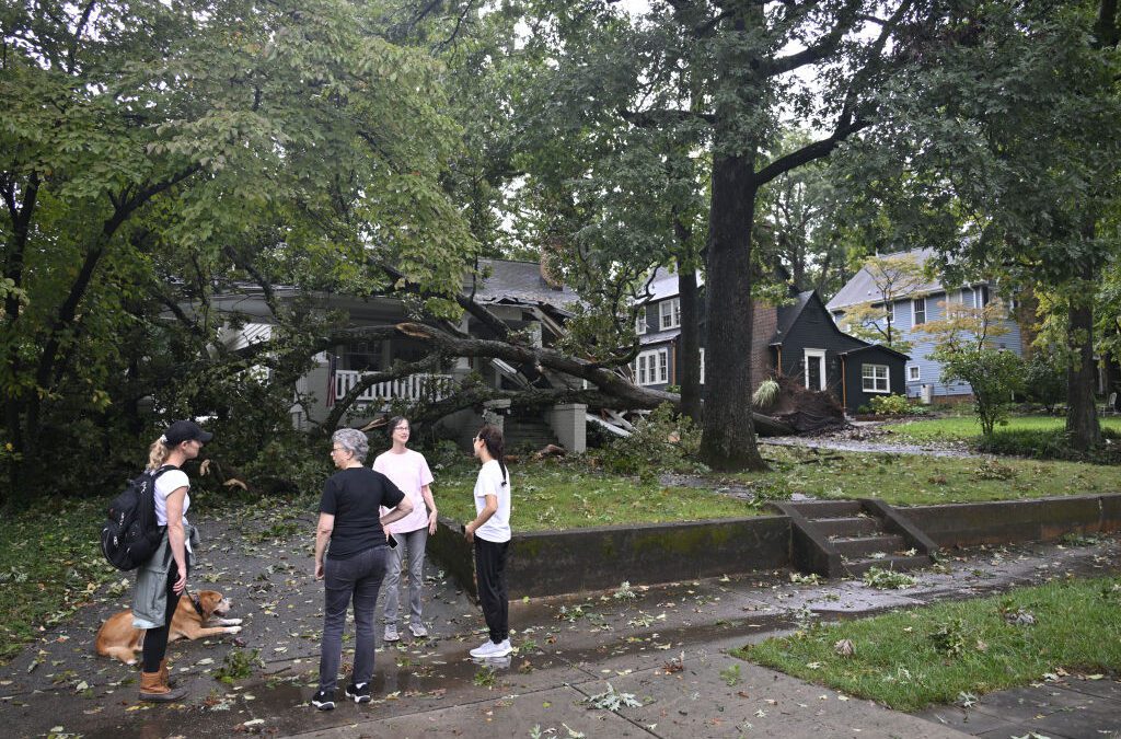 ‘Document everything’: Your 10-step guide to insurance claims after Hurricane Helene