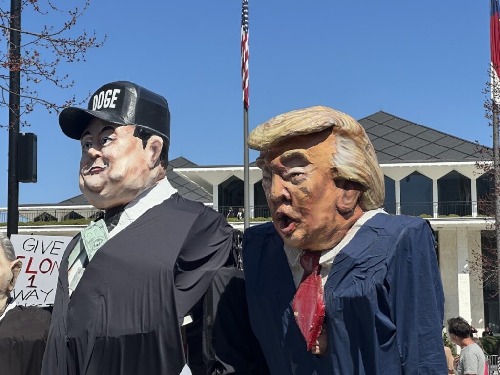 TRUMP - Cardinal & Pine
