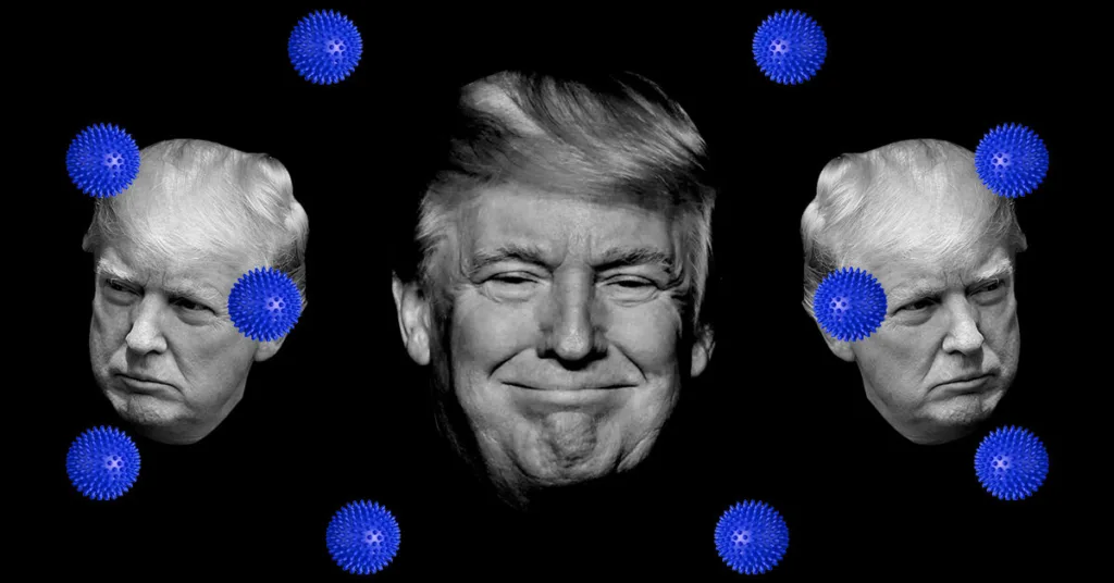 Uncategorized - Cardinal & Pine