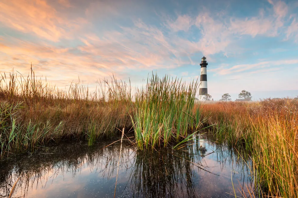 Billy Ball - Cardinal & Pine