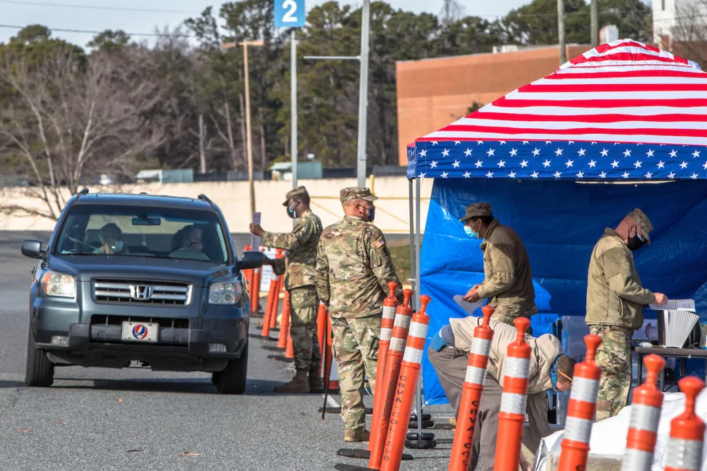 Billy Ball - Cardinal & Pine