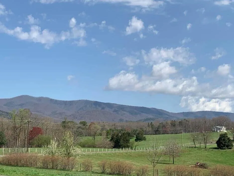 Uncategorized - Cardinal & Pine