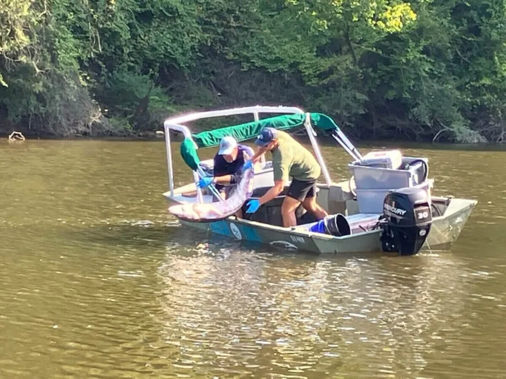 Uncategorized - Cardinal & Pine