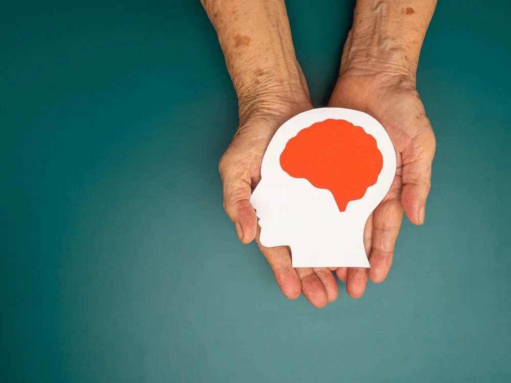 Uncategorized - Cardinal & Pine