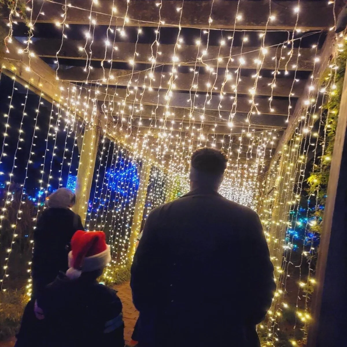 The 12 Best Christmas Tree Farms and Light Displays in NC The 12 Best Christmas Tree Farms and Light Displays in NC
