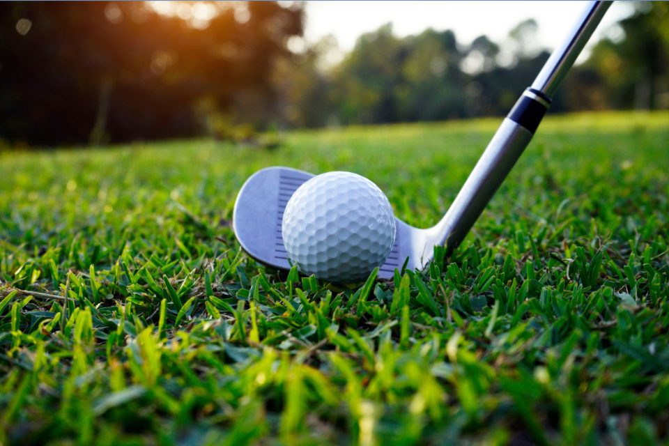 A golf club touching a golf ball on a very green fareway in a golf course