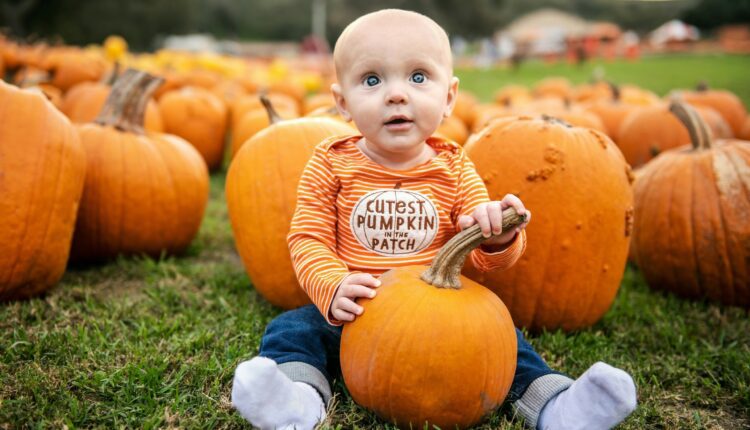 15 biggest & best pumpkin patches in North Carolina 15 biggest & best pumpkin patches in North Carolina