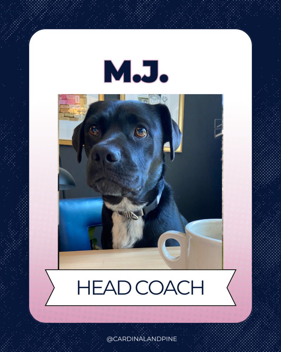 1 This year’s Puppy Bowl snubbed North Carolina dogs. So we asked our readers to build a team.