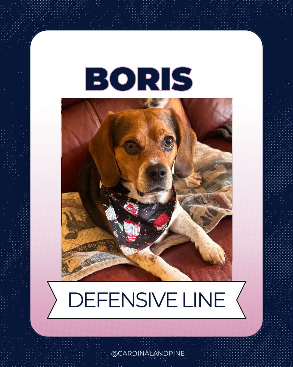 16 This year’s Puppy Bowl snubbed North Carolina dogs. So we asked our readers to build a team.
