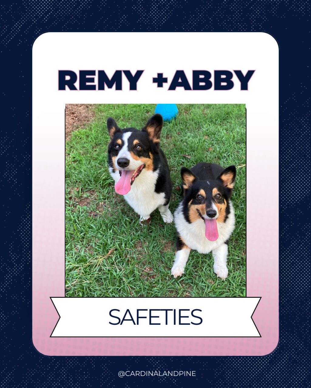 24 This year’s Puppy Bowl snubbed North Carolina dogs. So we asked our readers to build a team.