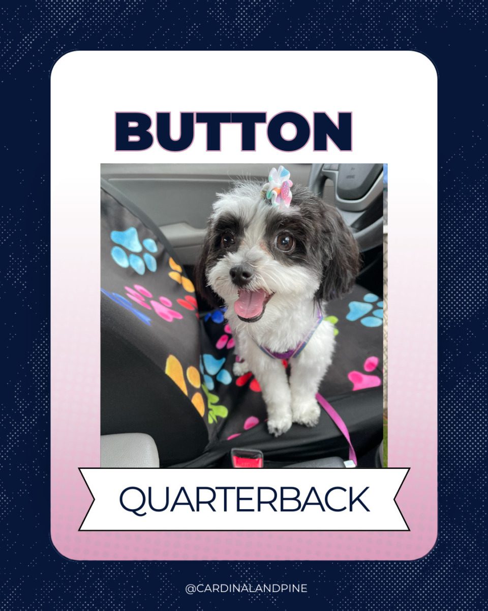 4 This year’s Puppy Bowl snubbed North Carolina dogs. So we asked our readers to build a team.