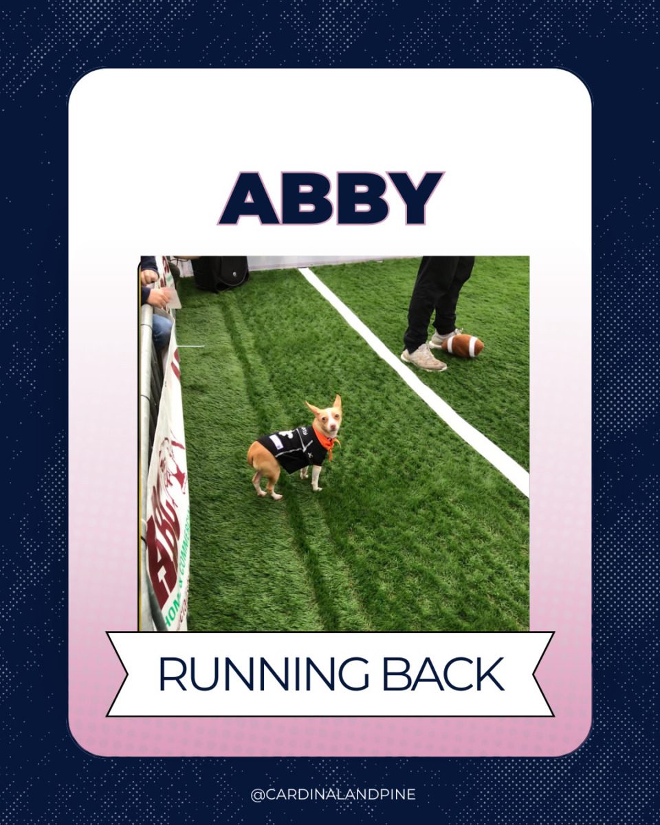 6 This year’s Puppy Bowl snubbed North Carolina dogs. So we asked our readers to build a team.
