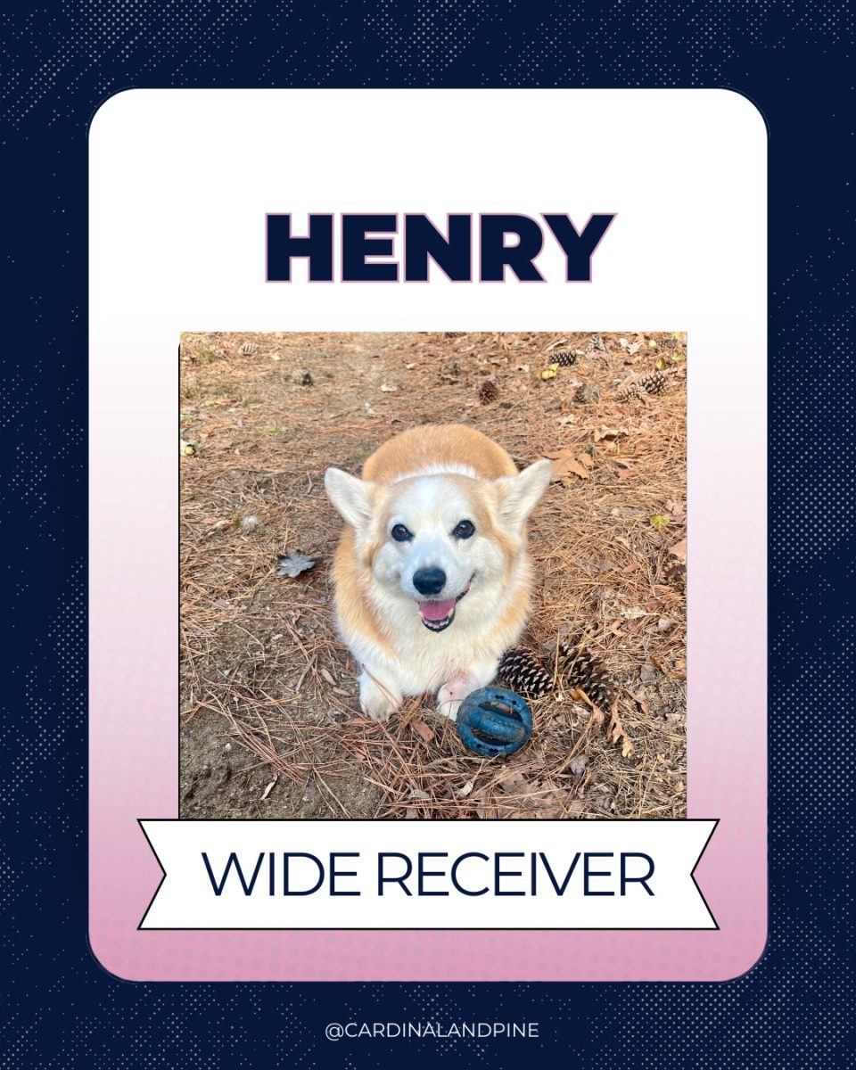 7 This year’s Puppy Bowl snubbed North Carolina dogs. So we asked our readers to build a team.