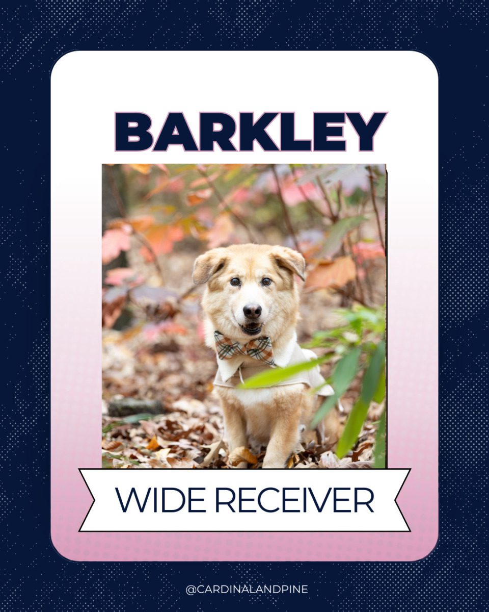 9 This year’s Puppy Bowl snubbed North Carolina dogs. So we asked our readers to build a team.