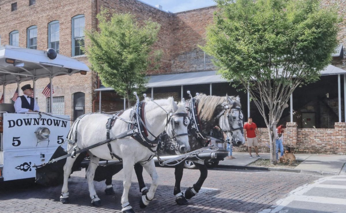 A horse-drawn trolley in Wilmington